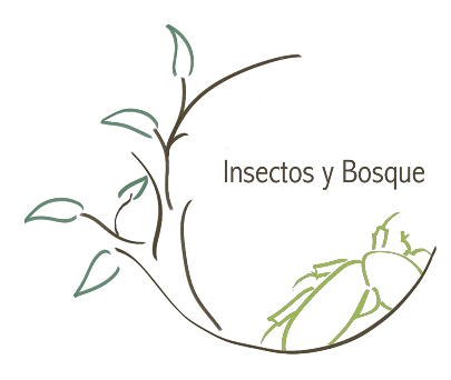 Insectos y Bosque